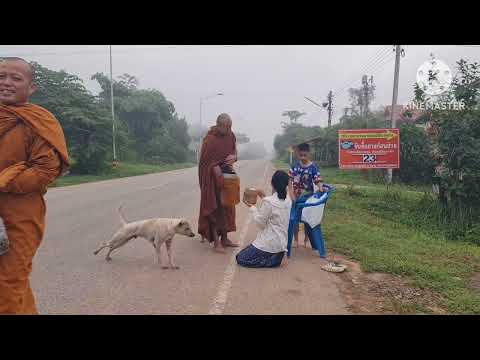ใส่บาตรทำบุญ ก่อนออกเดินทาง ไปโรงพยาบาล