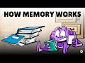 Understanding Memory and Learning