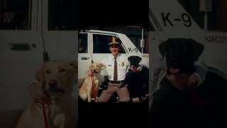 50 Years | MTPD