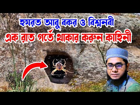 হযরত আবু বকর ও বিশ্বনবী গর্তে বাসের কাহিনী shahidur rahman mahmudabadi new waz 2024 মাহমুদাবাদী