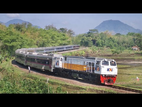 AWAS BRO KERETA RAJA INI LAGI ULANG TAHUN DI BULAN NOVEMBER SEMOGA SEMAKIN JAYA