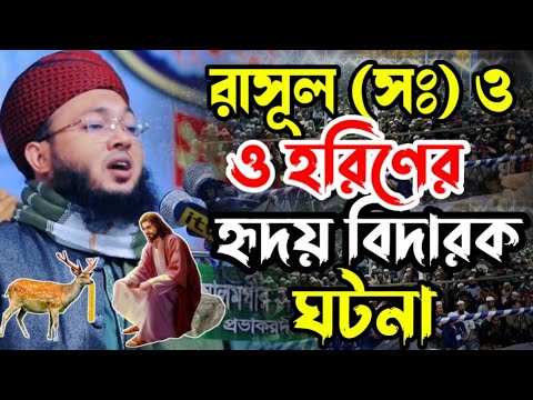 রাসূল (সঃ) ও হরিণের হৃদয় বিদারক ঘটনা | মুফতী আল-আমিন আড়াইহাজারী | Mufti Al-Amin araihazari
