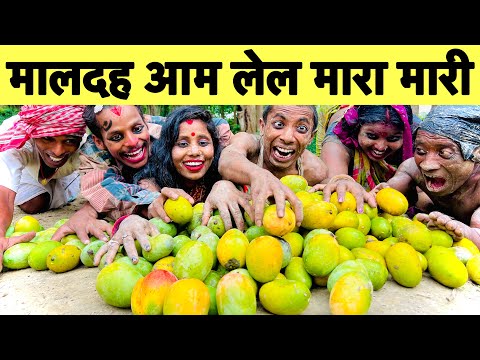 मालदह आम लेल मारा मारी 🤪chunalal dhorba comedy 2025