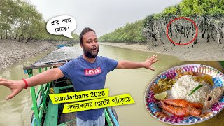 সুন্দরবনে খাড়ির মধ্যে 🤩 ইলিশ উৎসব ২০২৫ 🔥 Sundarban Tour Budget 2025 (Most Trusted)