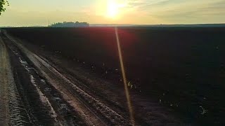 Неделя жизни в деревне/ чеснок,огурцы,помидоры,вишня/цыплята,утята,поросята/