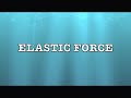 Elastic Forces and Hook's Law