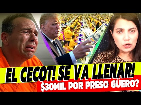 TRUMP PAGARA POR CADA PRESO GÜERO EN EL CECOT??? REACCIONES!!!