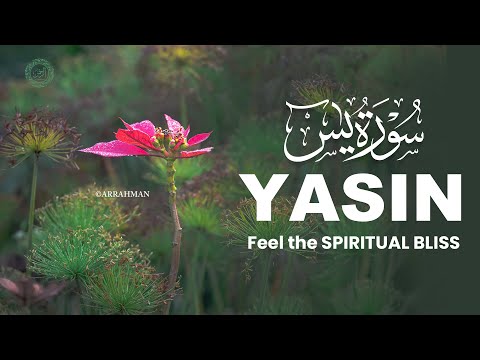 Stunning Surah Yasin Recitation | Feel the Spiritual Bliss (سورة يس)