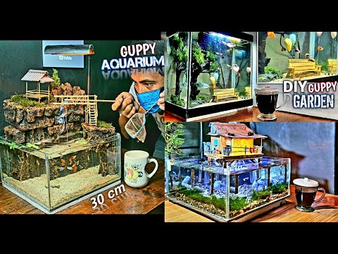 Turn Your Tank into a Guppy Haven with These Diorama Ideas