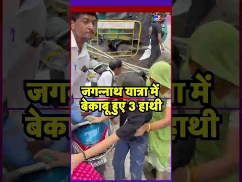 Jagannath Rath Yatra 2025:जगन्नाथ यात्रा में बेकाबू हुए 3 हाथी-TV9 #ytshorts
