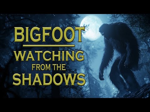 Bigfoot Stalks a Woman in Her Neighborhood