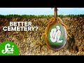 Sustainable Burial Practices and Concepts