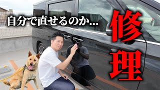 犬に車を傷つけられたので、自分で修理してみた。