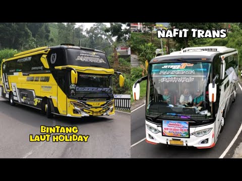 Full Basuri Bus Artis Nafit Trans x Bintang Laut Holiday