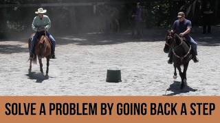 Solve a Problem by Going Back a Step (Episode 312) - Herm Gailey: A Lifetime with Horses