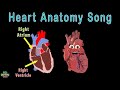 Heart Anatomy and Function Assessment