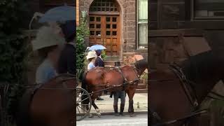 Taissa Farmiga & cast of The Gilded Age filming in New York around August of 2022
