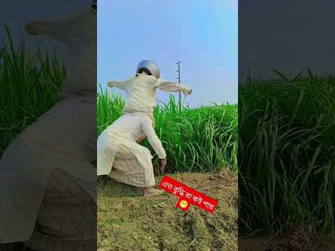 বিশ্বের সেরা বুদ্ধিমান #ekbarjedekhbihobirekabu