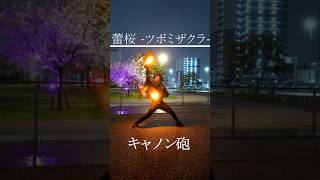 【技単】桜の前で蕾桜でキャノン砲したらエモすぎたね【ロト】#ヲタ芸 #ボカロ #桜