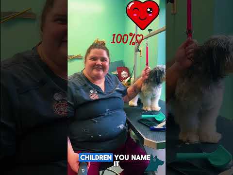 This Groomer Gets It! Dog Grooming with Heart ❤️ Meet Nikki #grooming #doggroomingtips #dogs