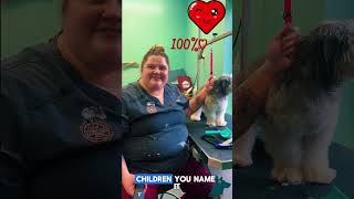 This Groomer Gets It! Dog Grooming with Heart ❤️ Meet Nikki #grooming #doggroomingtips #dogs