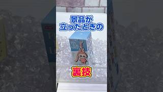 【裏技】景品が立ったときの獲り方!![クレーンゲームコツ]