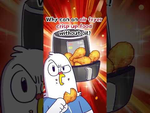 🥘Why Can An Air Fryer Crisp Up Food Without Oil❓ #shorts #trivia #lightcomics