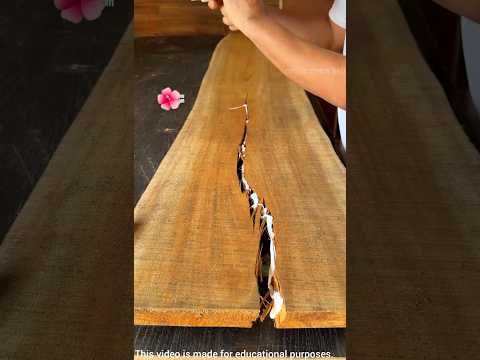 Satisfying Wood Repair Skill! ?