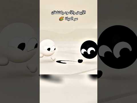 الأبيض والأسود يعيدان الألوان إلى المدينة ⚪️⚫️