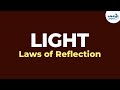 Light Reflection and Luminous Objects