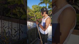 NUNCHAKU DO MICHELANGELO!!!#shorts