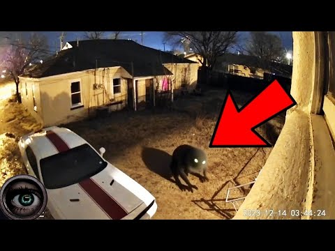 Most Scary Paranormal Videos Submitted by My Audience