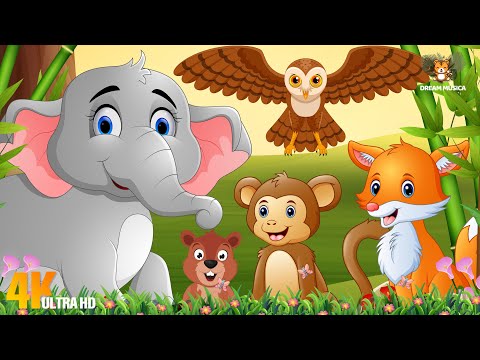Happy Animal Moments, Familiar Animals: Vulture, Warbler, Tapir, Wallaby, Warthog - Animal Sounds