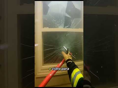 Bombeiro salva cachorro desacordado