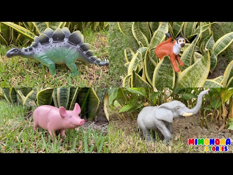 Nombres y sonidos de animales 🦛🦓 Cerdo Mono Dinosaurio Búho Ganso Gorila y mas ✨ Mimonona Stories