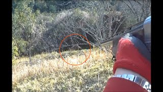 32 猪に見つからないように撃ちたい