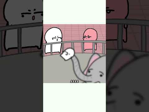 코끼리가 뒤를 안 닦는 이유