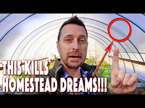 An Addiction That Is Killing Homesteading Dreams!