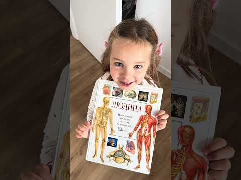 Анатомія скелетів