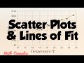 Correlation and Scatter Plot Analysis