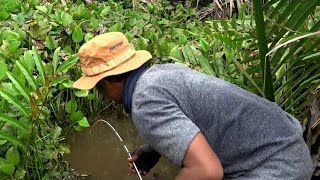 Nasib mujur tiada yang tahu saat mancing dirawa !!! #SG-445