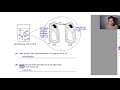 Cell Structure and Function Concepts