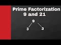 Prime Factorization and Number Properties