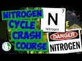 Nitrogen Cycle in Aquariums