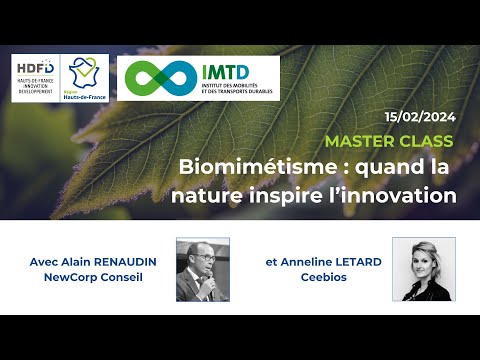 Biomimétisme : quand la nature inspire l’innovation