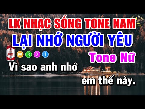 Karaoke Liên Khúc Nhạc Trữ Tình Bolero Tone Nữ | Lại Nhớ Người Yêu – Chuyện Hoa Sim