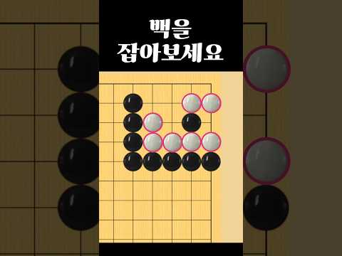 쉬운 바둑 사활 - 오늘의 묘수는?