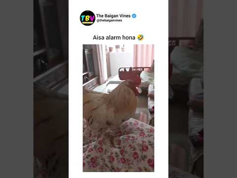 NATURE ALARM 🤣 | FUNNY | COMEDY | #shrots #ytshorts