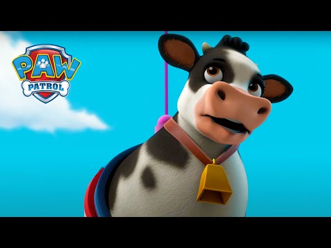 Keep it Mooo-ving! - PAW Patrol Episode - Cartoons for Kids Compilation