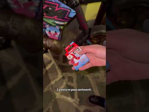 riusciremo? #funnyshorts #moto #scotch #shortsfeed